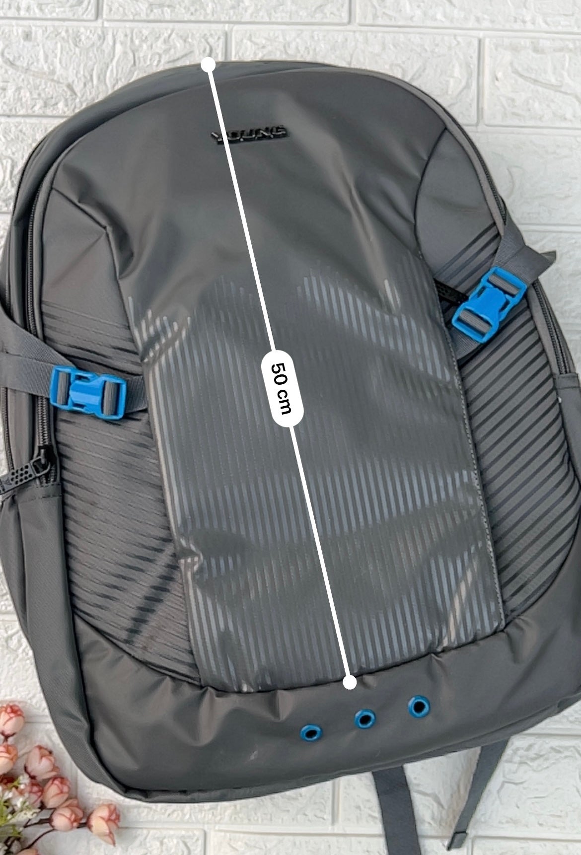 DailyDash Backpack-1